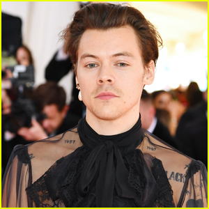 Harry Styles May Be Launching Fragrance & Cosmetics Line!