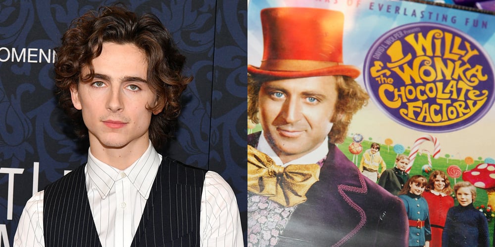 Timothee Chalamet to Play Young Willy Wonka, Will Sing & Dance in