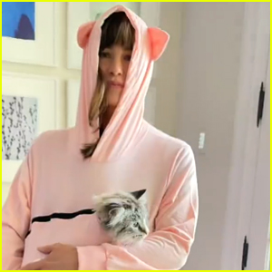 Jennifer Garner Stuffed Her Cat Moose In A Hoodie On Instagram & He Is Not Amused