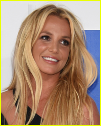 Britney Spears' Potential New Attorney Pleads His Case
