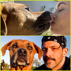 Jenna Dewan & Steve Kazee Mourn Death of Their Dog Violet - Read Their Emotional Posts