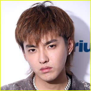 Chinese Star Kris Wu Detained By Police After Recent Accusations