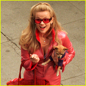 Google Celebrates Legally Blonde's 20th Anniversary with Surprise Easter Egg for Fans to Find!