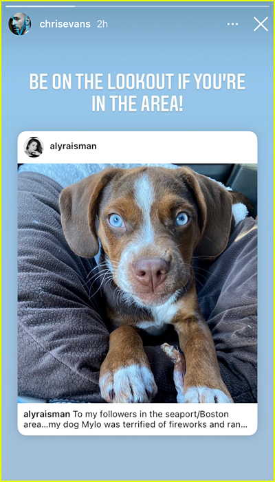 Chris Evans posts about Aly Raisman's missing dog
