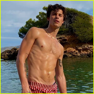 Shawn Mendes Goes Shirtless in Spain, Flaunts Body in Short Swim Trunks