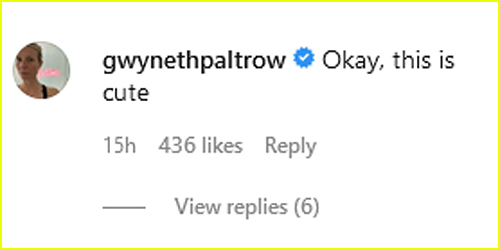 Gwyneth Paltrow Instagram comment about Bennifer