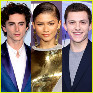 See How Zendaya Reacted to Timothee Chalamet Saying Her Celeb Crush is Tom Holland