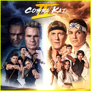 'Cobra Kai' Season 4 - The Reviews Are In!