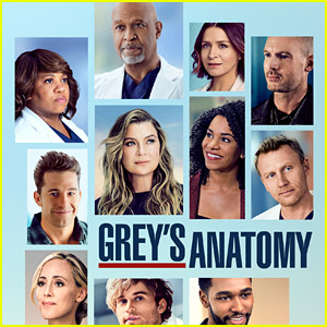 'Grey's Anatomy' Renewed for Season 19 - See Who's Returning (So Far)!