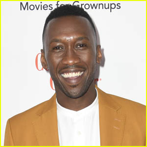 Mahershala Ali to Star in Onyx Collective Series 'The Plot' at Hulu