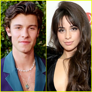 Shawn Mendes & Camila Cabello Met Up in Miami Two Months After Announcing Their Split