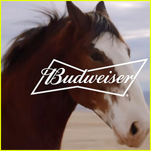Budweiser's Super Bowl 2022 Commercial Brings Back Clydesdale Horse & Dog, Directed by Chloe Zhao!