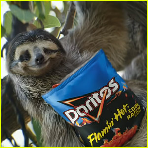 Doritos & Cheetos Super Bowl Commercial 2022: Huge Stars Are Voicing Those Animals - WATCH NOW