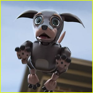 Robo Dog Commercial for Kia's Super Bowl 2022 Ad Will Win Your Heart –  WATCH NOW! Robo Dog Commercial for Kia's Super Bowl 2022 Ad Will Win Your  Heart – WATCH NOW! |