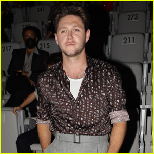 Niall Horan Got 'Extremely Ill' on a Flight