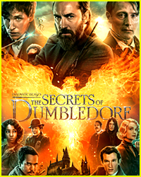 Find Out When You Can Stream 'Fantastic Beasts: The Secrets of Dumbledore' on HBO Max!