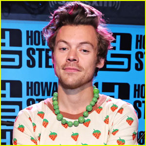 Find Out Why Harry Styles' Meetup with This TikTok Star Is Going Viral!