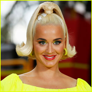 Katy Perry Lands Lead Role in New Animated Movie Musical 'Melody'