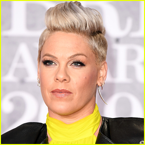 Pink Has A Biting Message For Fans Who Support Supreme Court Abortion Ruling