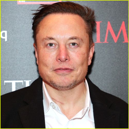 Elon Musk twins