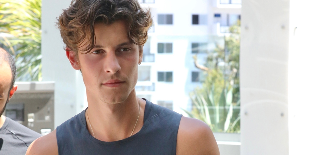 Shawn Mendes Gets Support From Demi Lovato After Announcing Tour Break