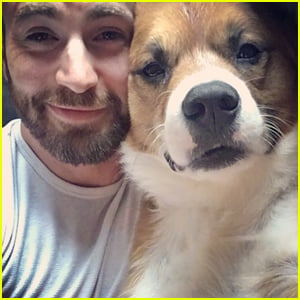 Chris Evans' Dog Dodger Matches His Celeb Dad in 'The Gray Man' Sweater
