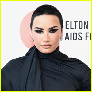 Demi Lovato Gets Candid About Trending Track '29': 'The Song Says It All'