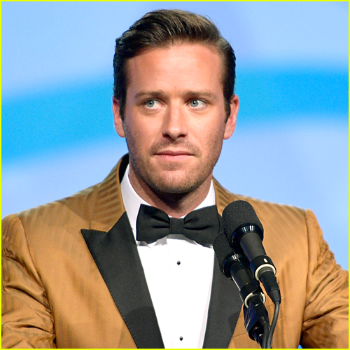 Armie Hammer ‘House Of Hammer’ Docuseries Removes Something From The