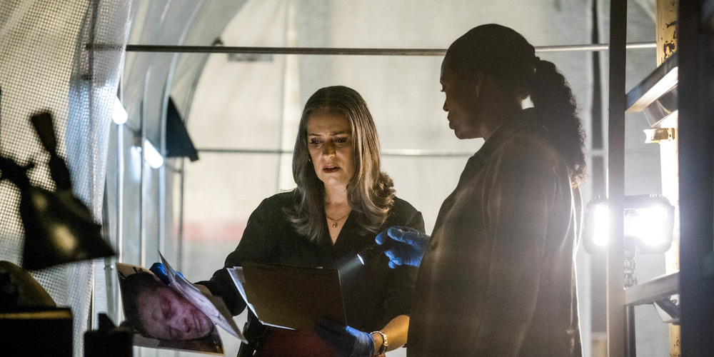 The Richest Stars of 'Criminal Minds: Evolution,' Ranked From Lowest to Highest Net Worth | Criminal Minds, Net Worth, Paramount Plus, Television - Vimarsana News