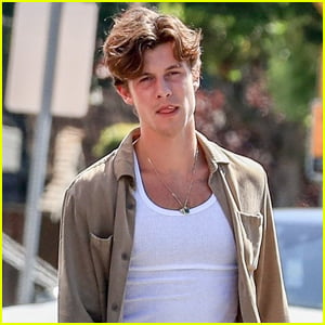 Shawn Mendes Chews on Toothpick During Afternoon Stroll in WeHo