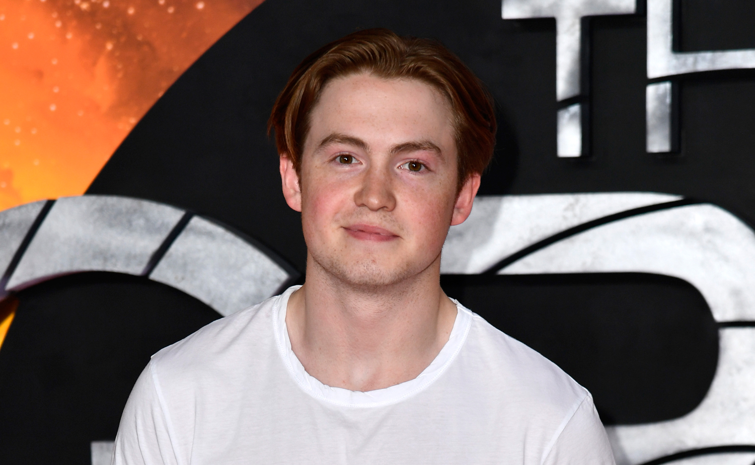 14. 他の用語と同じ意味で使用されることが多いですが、必ずしも同じ意味であるとは限りません