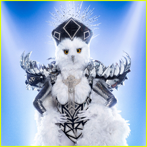 Who is Night Owl on 'The Masked Singer' Season 9? Clues, Guesses, & Spoilers Revealed!