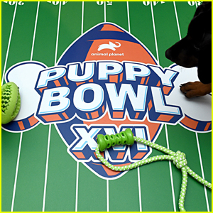 Puppy Bowl 2023 – How to Watch the Event on TV & Stream Online! Puppy Bowl  2023 – How to Watch the Event on TV & Stream Online! | 2023 Puppy Bowl,