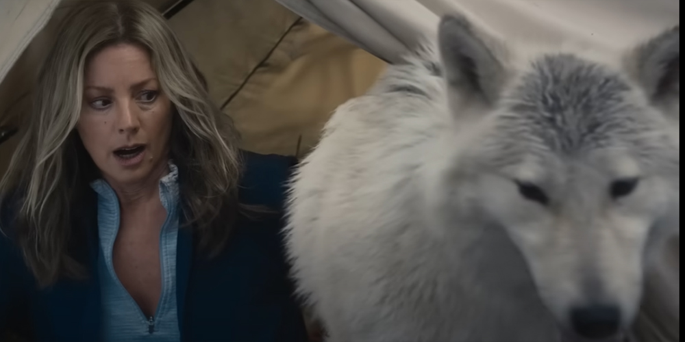 busch-beer-super-bowl-commercial-2023-sarah-mclachlan-does-her-aspca