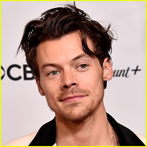 Harry Styles Posts & Deletes Photo of Himself Wearing One Direction Shirt