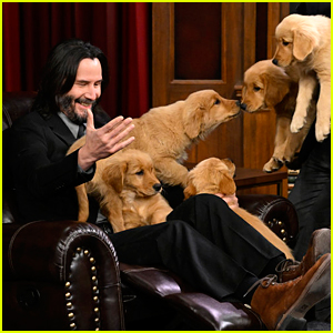 Keanu Reeves Cuddles Will A Pile of Puppies on 'The Tonight Show'!