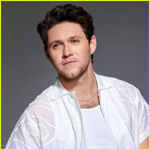 Niall Horan Reveals If He'd Want Himself as a Part of His Team on 'The Voice,' Talks Rejecting Contestants
