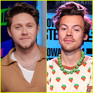 Niall Horan Uses Harry Styles Connection to Get 'The Voice' Contestant On His Team