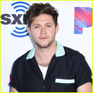 Niall Horan Confirms One Direction Has a New Group Chat Going, Reacts to Question About If There's Any Pressure to Keep Up With His Bandmates' Careers