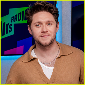 Niall Horan Shares About The Camaraderie He Has With His One Direction Members