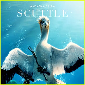 What Kind of Bird Is Scuttle in 'The Little Mermaid' Live Action? Fans React To Change From Seagull to Gannet