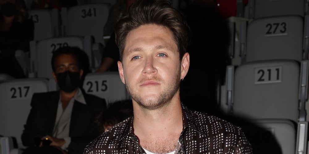 Niall Horan Addresses One Direction Reunion Rumors & Whether He’ll Play