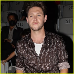 Niall Horan Addresses One Direction Reunion Rumors &amp; Whether He'll Play Their Songs on Tour