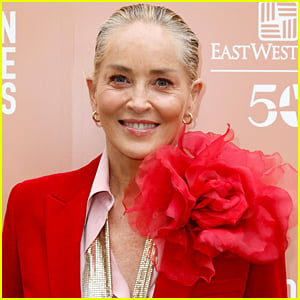 Sharon Stone Feels Forgotten By Hollywood After Her Stroke: 'I Haven't Had Jobs' Since