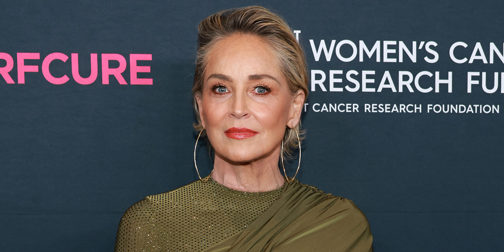Sharon Stone Feels Forgotten By Hollywood After Her Stroke: ‘I Haven’t Had Jobs’ Since | Just Jared: Celebrity News and Gossip | Entertainment