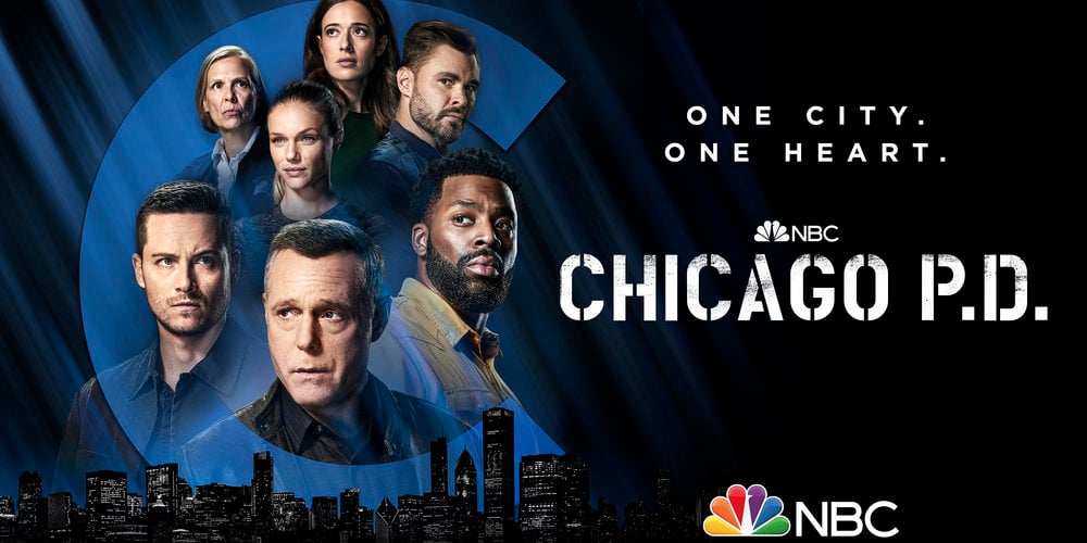 The Richest 'Chicago P.D.' Stars, Ranked From Lowest to Highest Net Worth | Alex Morf, Amanda Payton, Amy Morton, Benjamin Levy Aguilar, Carmela Zumbado, Chicago P.D., Chicago PD, EG, evergreen, Extended, Jason Beghe, Jesse Lee Soffer, Laroyce Hawkins, Marina Squerciati, NBC, Nicole Ari Parker, Patrick John Flueger, Ramona Edith Williams, Slideshow, Television, Tracy Spiridakos - Vimarsana News