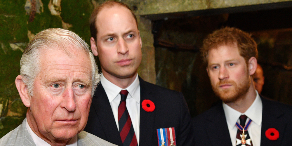 Quote About King Charles' 'Absolute Nightmare' 70th Birthday Photo Shoot Resurfaces on 75th Birthday | King Charles, Prince Harry, Prince William - Vimarsana News