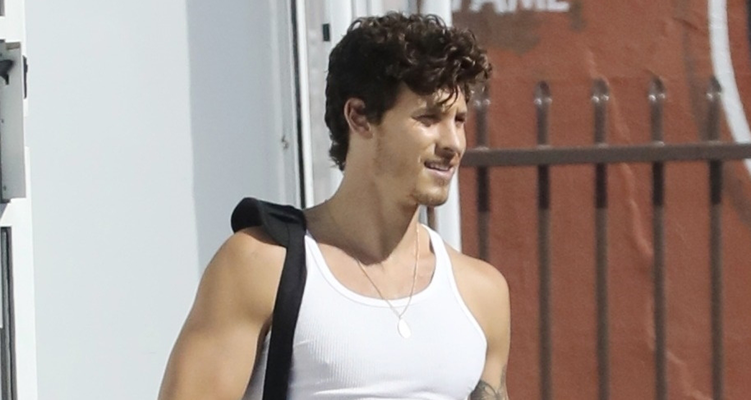 Shawn Mendes Shows Off His Muscles Leaving Karate Class in L.A.