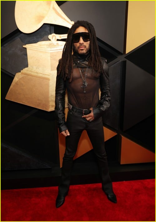Lenny Kravitz  at the Grammys