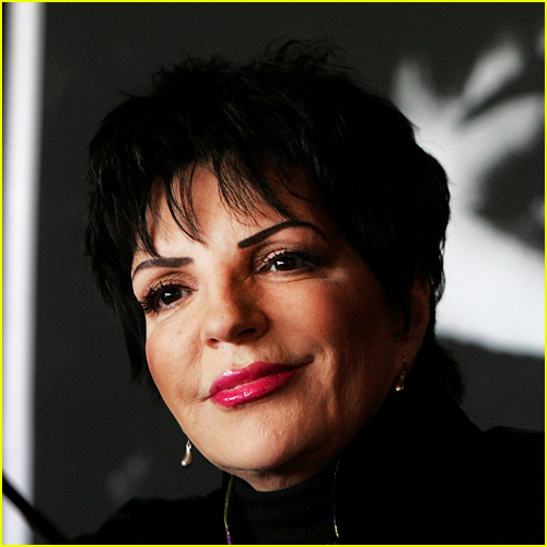 liza minnelli net worth 2026 - Ilustrasi 3